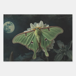Hoja De Papel De Regalo Cottagecore Moon Moth Gothic Moon Moth Nocturne