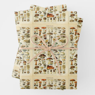 Hoja De Papel De Regalo Cottagecore Mushrooms Vintage Naturalist