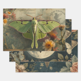 Hoja De Papel De Regalo Cottagecore Polilla Luna Gótica Polilla Luna Noctu