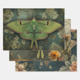 Hoja De Papel De Regalo Cottagecore Polilla Luna Gótica Polilla Luna Noctu