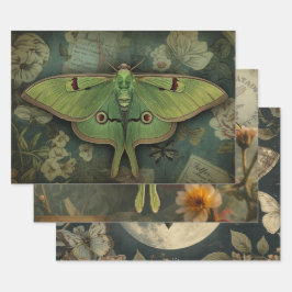 Hoja De Papel De Regalo Cottagecore Polilla Luna Gótica Polilla Luna Noctu