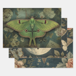 Hoja De Papel De Regalo Cottagecore Polilla Luna Gótica Polilla Luna Noctu