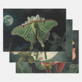 Hoja De Papel De Regalo Cottagecore Polilla Luna Gótica Polilla Luna Noctu