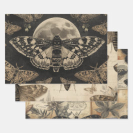 Hoja De Papel De Regalo Cottagecore Polilla Luna Gótico Jardín