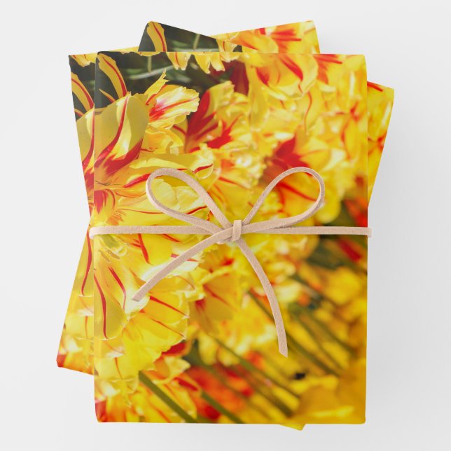 Hoja De Papel De Regalo Crecer en oro (In situ)