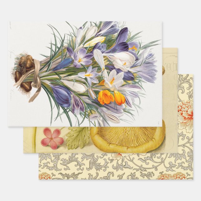 Hoja De Papel De Regalo Crocus Spring Flower Botanical Floral Art (Set)