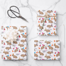 Cumpleaños Personalizado de Niños Capybara Blanco