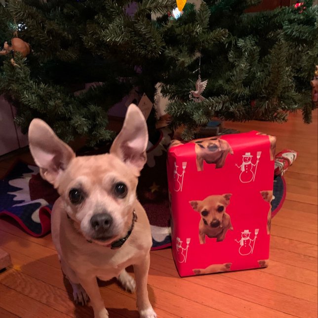 Hoja De Papel De Regalo Cute Dog Xmas Santa Snowman Candy Canes (I’m so much better looking in person!)