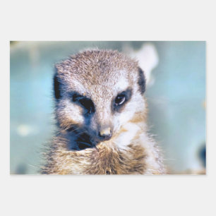 HOJA DE PAPEL DE REGALO CUTE MEERKAT