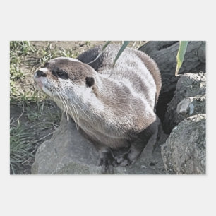 HOJA DE PAPEL DE REGALO CUTE OTTER