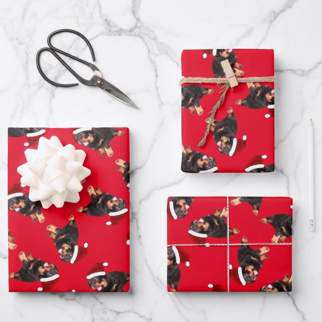 Hoja De Papel De Regalo Cuto Rottweiler Puppy Vestido Personalizado Santa  (Anverso)