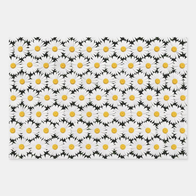 Hoja De Papel De Regalo Daisies (Anverso)
