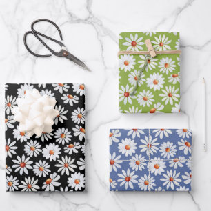 Hoja De Papel De Regalo Daisy Filed Watercolor Primavera