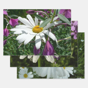Hoja De Papel De Regalo Daisy y Chamerion Wildflower