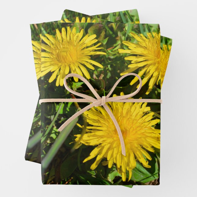 Hoja De Papel De Regalo Dandelion Flower Trio (In situ)