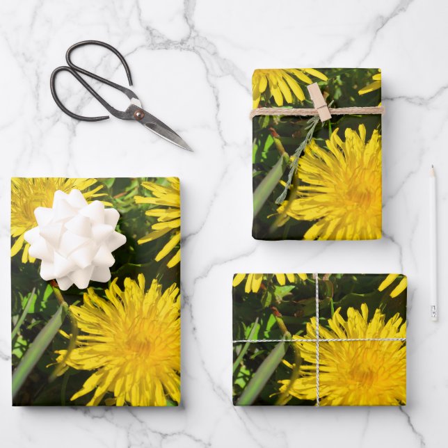Hoja De Papel De Regalo Dandelion Flower Trio (Anverso)