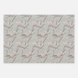 Hoja De Papel De Regalo Dashing Groom-Set C, Romance Tropical Gift