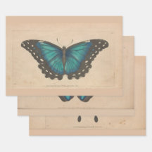 Decoración del peso pesado de la mariposa azul vin