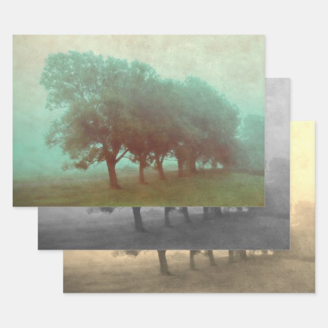 Hoja De Papel De Regalo Decoupage antigua Verde azulada textura pintada (Set)