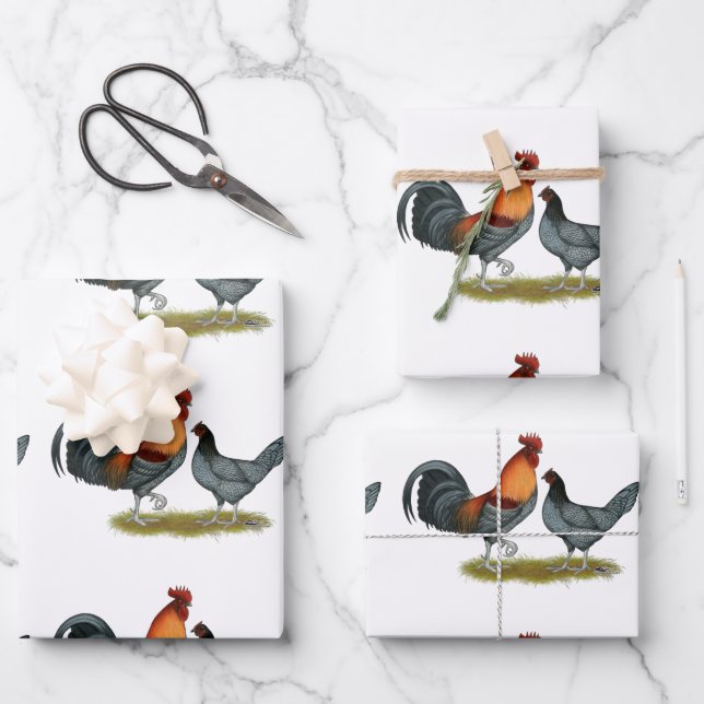 Hoja De Papel De Regalo Delaware Blue Hen (Anverso)