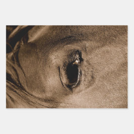 Hoja De Papel De Regalo Descenso de la cosecha del Rústico Occidental del 