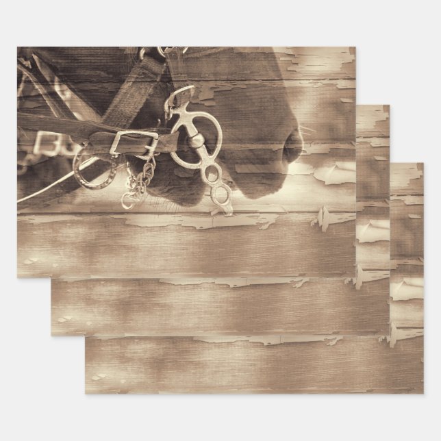 Hoja De Papel De Regalo Desenlace de madera Rústica de la Sepia Occidental (Set)