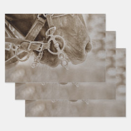 Hoja De Papel De Regalo Desenlace Rústico de la Sepia Occidental del Cabal