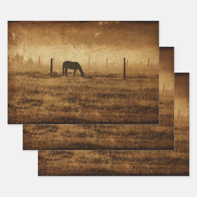 Hoja De Papel De Regalo Desmaqueta de textura de cosecha rústica en el paí (Set)