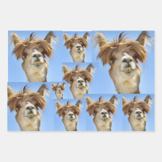 Hoja De Papel De Regalo Día del Pelo Malo