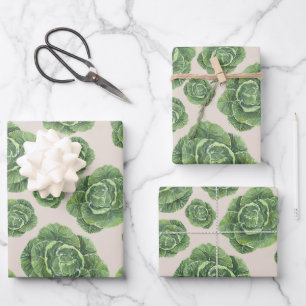 Hoja De Papel De Regalo Diseño de repollo verde orgánico