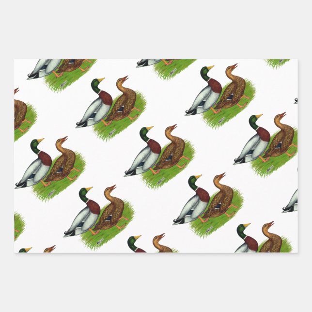 Hoja De Papel De Regalo Drake mallard y pato (Anverso 3)