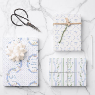 Hoja De Papel De Regalo Ducha de bebé niño Silly Goose con lazo caprichoso