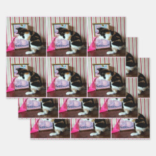 Hoja De Papel De Regalo El armario de Leilani - Todas las ocasiones