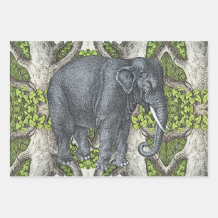 Hoja De Papel De Regalo Elefante de época