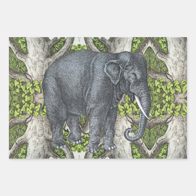 Hoja De Papel De Regalo Elefante de época (Anverso)