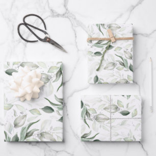 Hoja De Papel De Regalo Elegante follaje plateado suave de salvia verde
