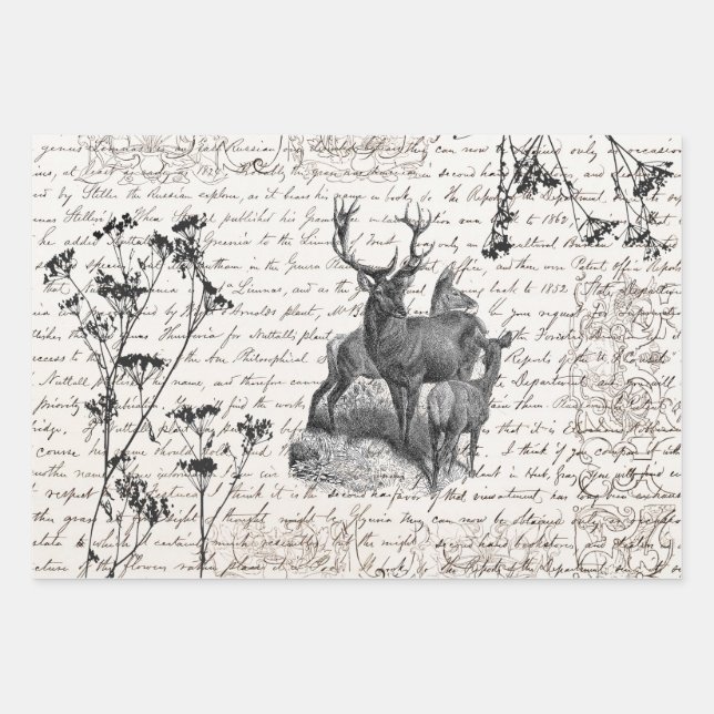 Hoja De Papel De Regalo Elegante guión de flores silvestres de ciervo blan (Anverso)
