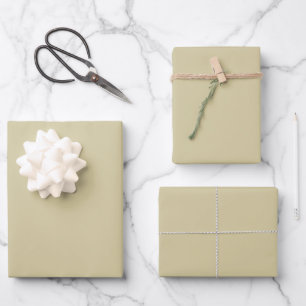 Hoja De Papel De Regalo Elegante sólido llano beige neutro minimalista