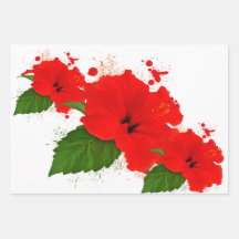 Envoltura de Hibiscus Papper