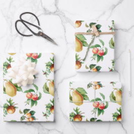Hoja De Papel De Regalo Envoltura - Fruta