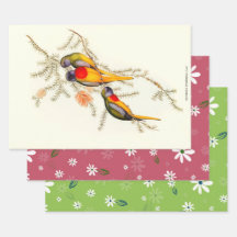 Espléndido paracaídas de hierbas, regalo