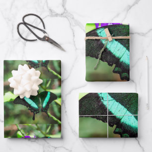 Hoja De Papel De Regalo Exotic Emerald Swallowtail
