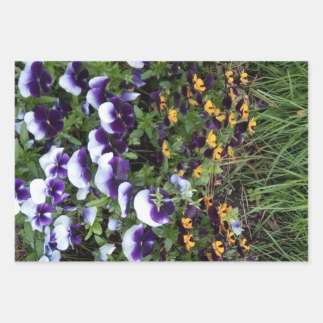 Hoja De Papel De Regalo Explosión Floral (Anverso)