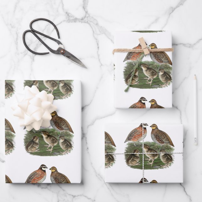 Hoja De Papel De Regalo Familia Bobwhite Quail (Anverso)
