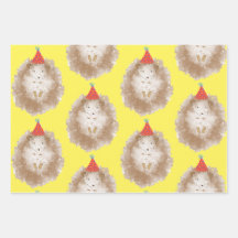 Feliz cumpleaños Hedgehog