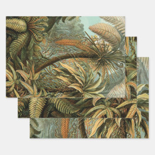 Hoja De Papel De Regalo Ferns Palm Tree Antique Botanica Ferns Art
