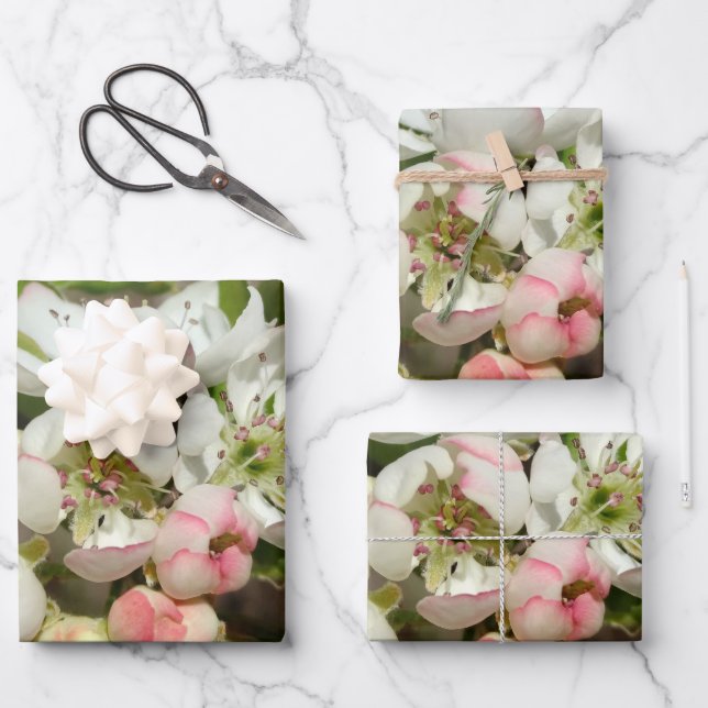 Hoja De Papel De Regalo Flor de manzanas (Anverso)