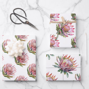 Hoja De Papel De Regalo flor de protea sugarbush planta sudafricana