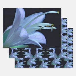 Hoja De Papel De Regalo Flor Hosta colorida