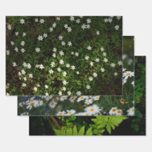 Flora de Bosque Etéreo, conjunto de 3 fotos de art
